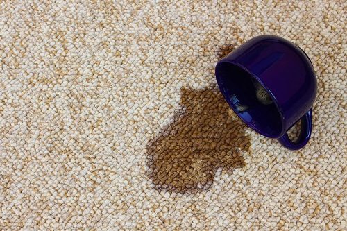 Carpet stain Phoenix, AZ