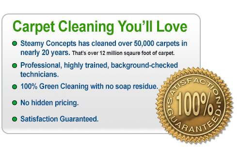 Carpet Cleaning You'll Love