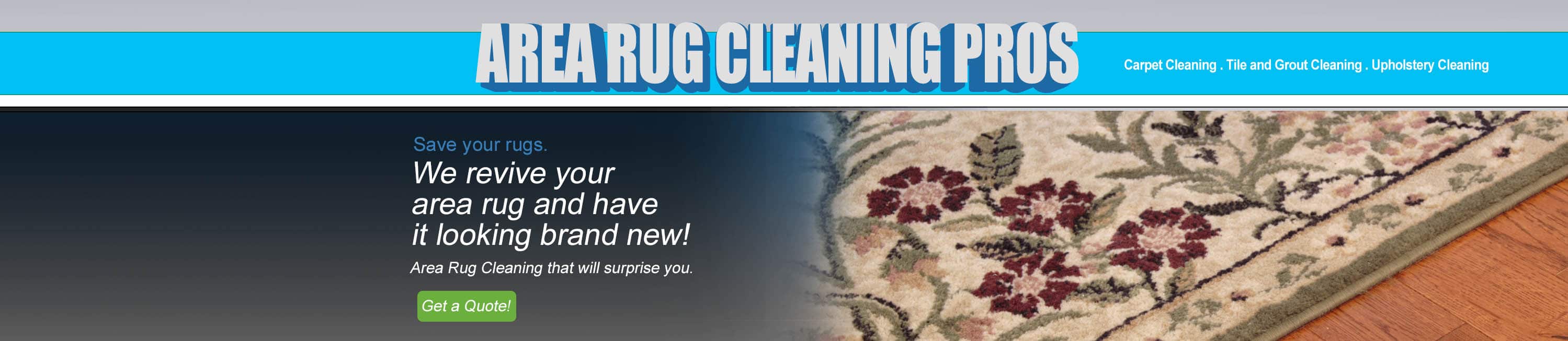 Phoenix area rug cleaning pros
