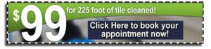 Phoenix Tile Cleaning Coupon $99