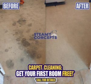 Carpet Cleaning Phoenix Before and After