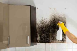 DIY mold removal on cabinet