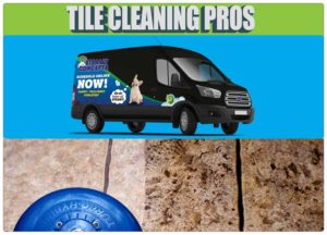 tile cleaning pros